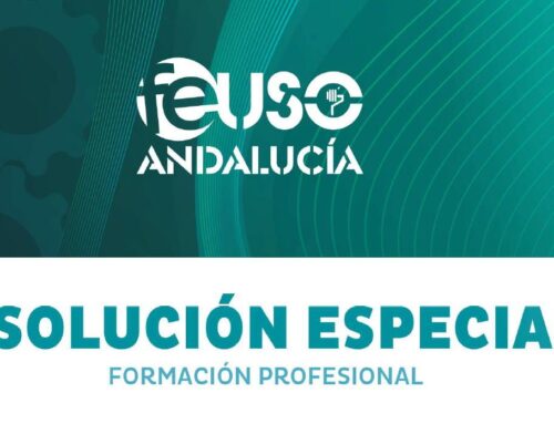 Resolución aprobada en el 5º Congreso FEUSO Andalucía para la mejora de la FP
