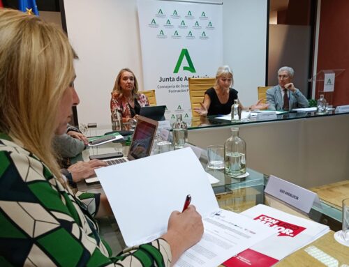 Solicitamos a la consejera de Desarrollo Educativo un acuerdo marco para afrontar las promesas pendientes de la Junta de Andalucía con la educación andaluza