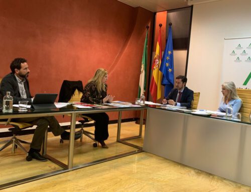 FEUSO Andalucía presenta en un encuentro bilateral con la consejera de Desarrollo Educativo sus propuestas para mejora de la Enseñanza Pública andaluza
