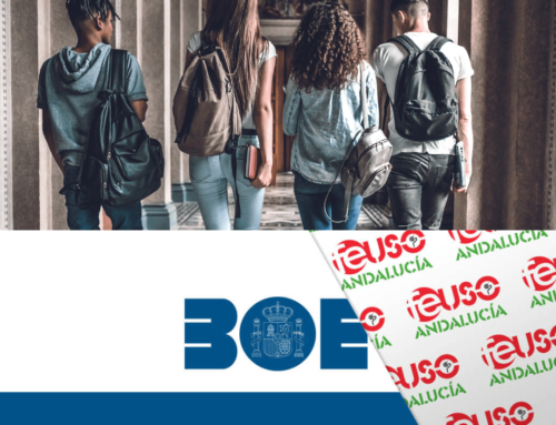 El BOE publica los requisitos de acceso a las enseñanzas universitarias oficiales de Grado