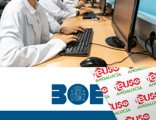 El BOE publica el RD que establece requisitos mínimos de los centros de enseñanza y el de ordenación de la FP