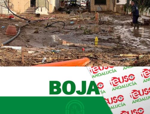 El BOJA publica la ampliación del plazo de presentación de ayudas a entidades locales por la DANA