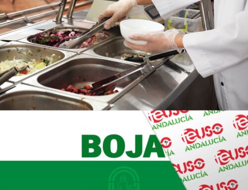 El BOJA publica la Resolución de subvenciones a centros concertados para el servicio de comedor escolar