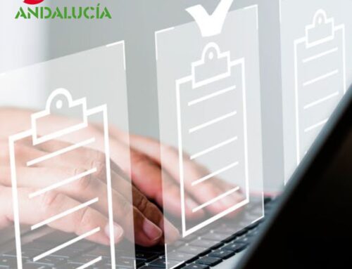 El Plan de Igualdad se considera registrado automáticamente a los tres meses de la solicitud por silencio positivo